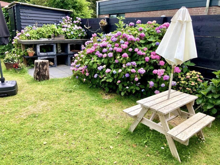 Holiday Home Beachy Days Near Ocean & Lake Noordwijkerhout Εξωτερικό φωτογραφία